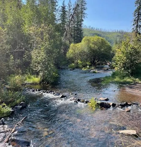 Cozy Retreat Pond, Meadow & Mountain Views Holiday home *